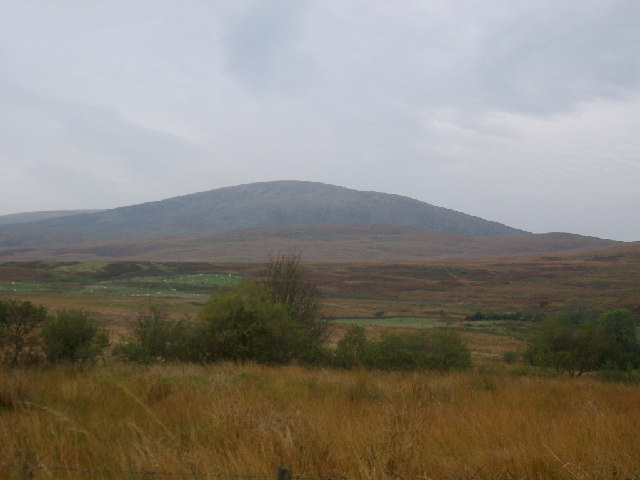 Cairnsmore of Fleet NNR